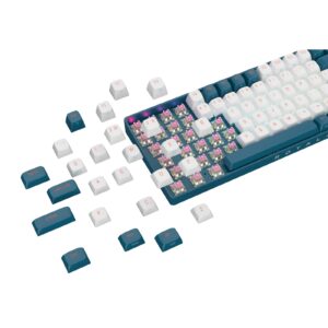 Royalaxe R87 Hot Swappable Mechanical Keyboard