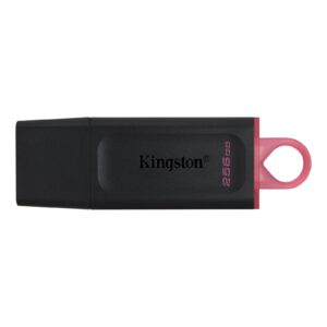 Kingston DataTraveler Exodia 256GB USB 3.2 Blk/Pink USB Flash Drive