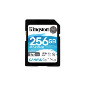 Kingston Canvas Go! Plus SDCG3/256GB 256GB Micro SD Card