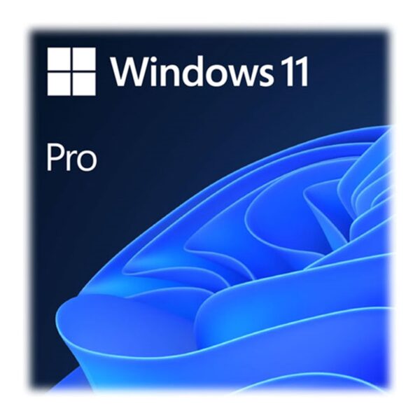 Microsoft Windows 11 Pro 64bit All Language ESD