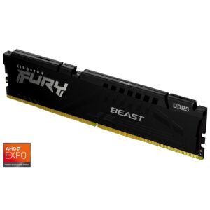 Kingston FURY Beast KF556C36BBE-16 16GB (1x 16GB) DIMM System Memory