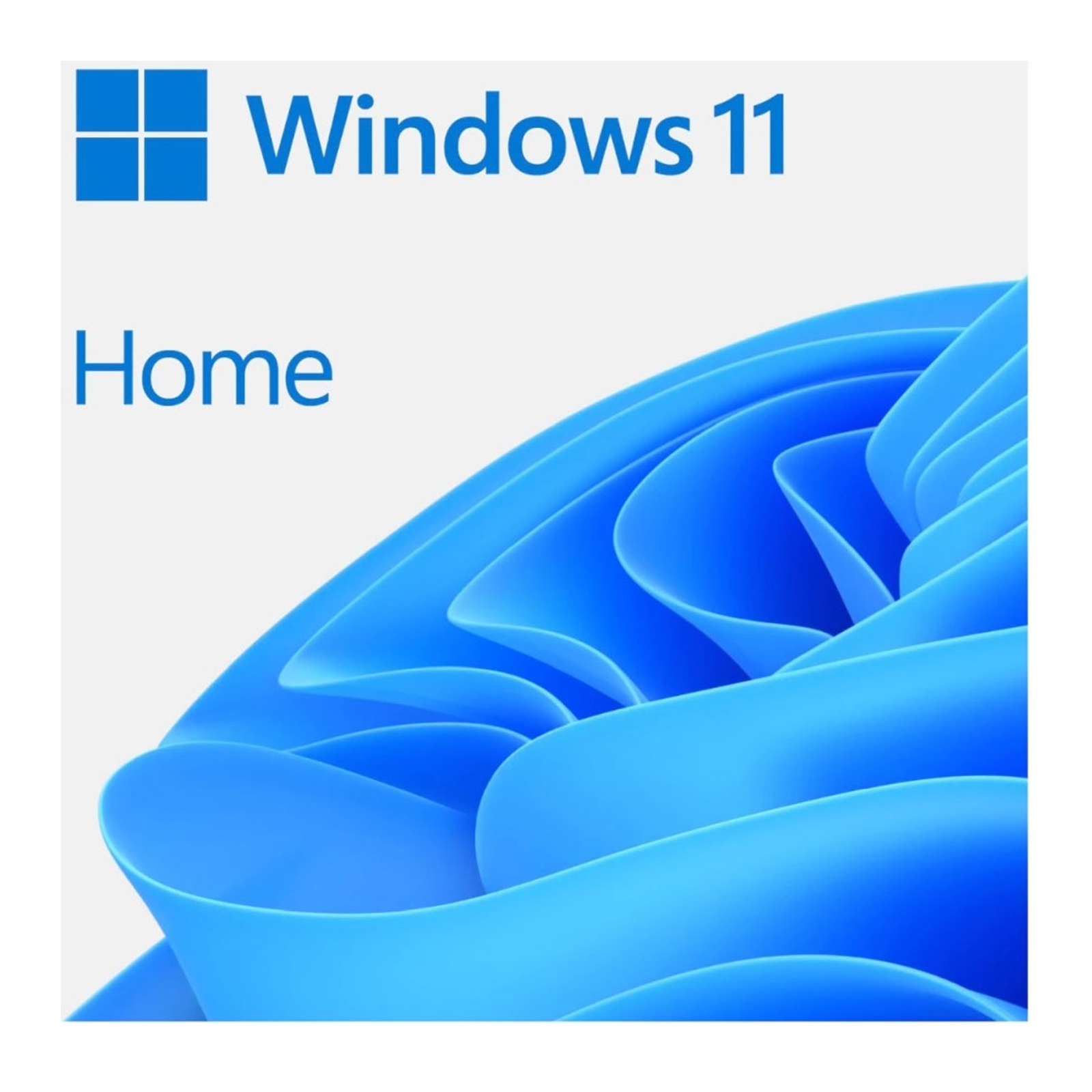 Microsoft Windows 11 Home 64bit English USB Flash Drive - My CMS Microsoft Windows 11 Home 64bit English USB Flash Drive
