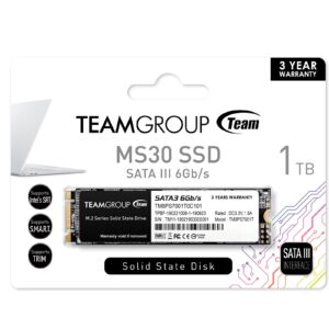 Team MS30 (TM8PS7001T0C101) 1TB
